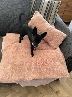 Winnie