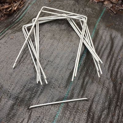 100 Staples  to pin Ground cover down.