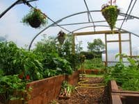 16'x18' Commercial / Garden Polytunnel  (4.87m x 5.48m)