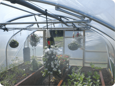 18'x30' (5.48m x 9.14m) Commercial Polytunnel