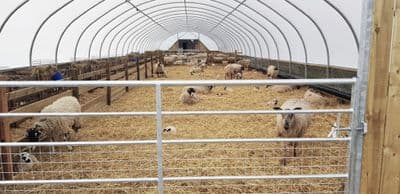 24' Wide  Sheep House /Starting at £2655.00 + Delivery