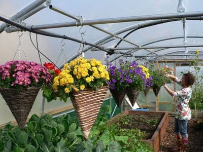 24ft x 72ft (7.32m x 21.95m) Commercial Polytunnel