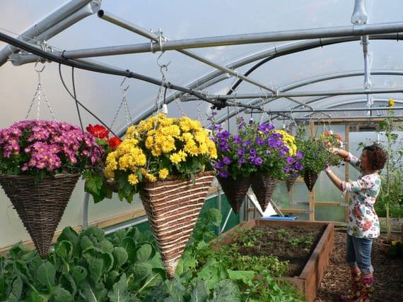 26'x30'(7.92m x 9.14m)  Commercial Polytunnel