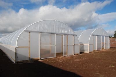 Commercial Polytunnels