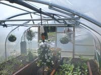 Domestic Polytunnel 14' x 30' (4.26 x 9.14m) Manufactured from 35mm Galvanised Steel