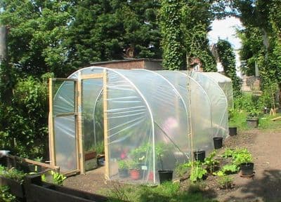 Domestic Polytunnels 14' (4.26m)  Wide