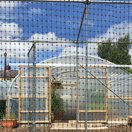 Fruit cage  3.91m x 3.91 long x 2.14 high.  (2 Bay x 2 Bay)