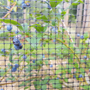 Fruit cage  3.91m x 3.91 long x 2.14 high.  (2 Bay x 2 Bay)