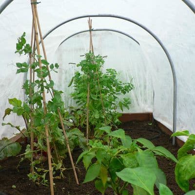 Galvanised Steel Cloche Hoops.