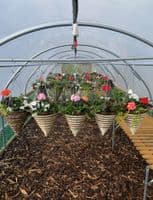 Garden Polytunnel 10' x 10' (3.05m x 3.05m)