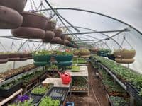 Garden Polytunnel 10' x 10' (3.05m x 3.05m)