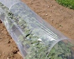Heavy Duty Cloche Film