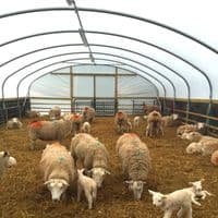 Livestock Cover
