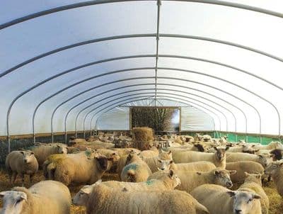 Low Cost Livestock Shelters