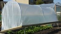 Mini Polytunnel 4' x 10' (1.22M x 3.05m)
