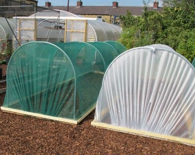 Mini Polytunnel 4' x 10' (1.22M x 3.05m)