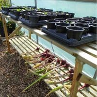Potting Table for Greenhouse/Polytunnel - 1.8m x 0.5m