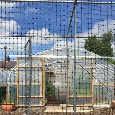 Rigid Fruit Cage Netting,  SAVE!! Buy it by the Roll