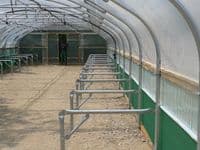 Commercial  staging for 16' wide polytunnels