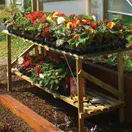 Trestle Potting Table for Greenhouse/Polytunnel - 1.8m x 0.5m