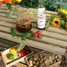 Trestle Potting Table for Greenhouse/Polytunnel - 1.8m x 0.5m