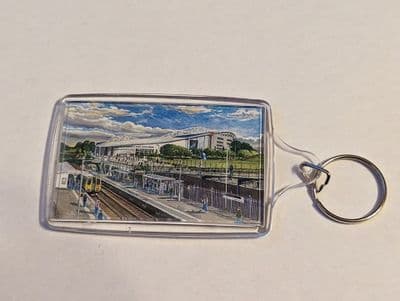AMEX GTM keyring