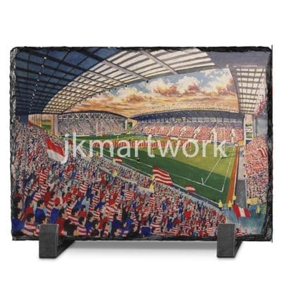 dw stadium slate print