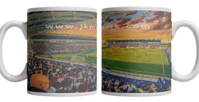 falkirk stadium mug (1)