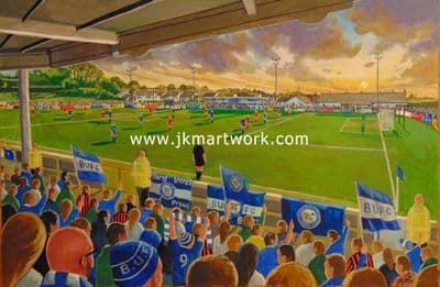 ferney park  on matchday