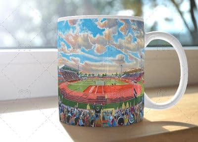gateshead international stadium  mug