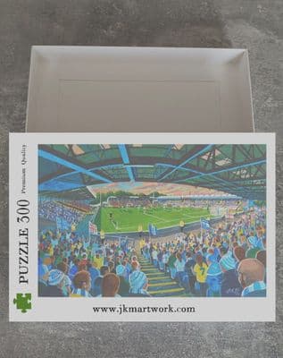 gigg lane   300 piece jigsaw