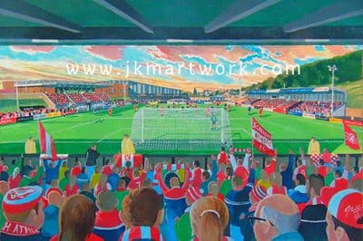 Hand Painted original of Flamingoland stadium