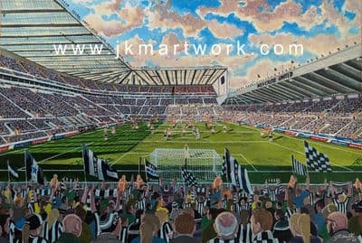 Hand Painted original of new st james park NUFC