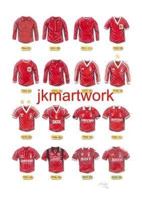 Hand Painted original of nottingham forest shirts