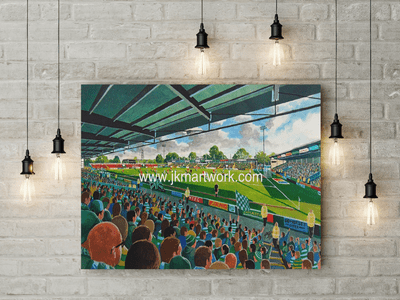 huish  park  canvas a3 size