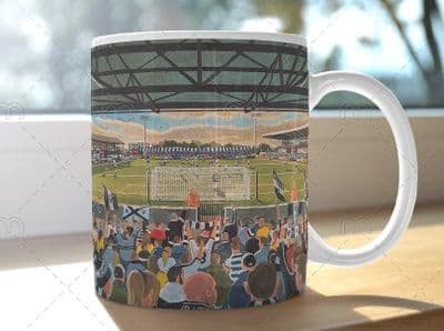 NEW somerset park  mug