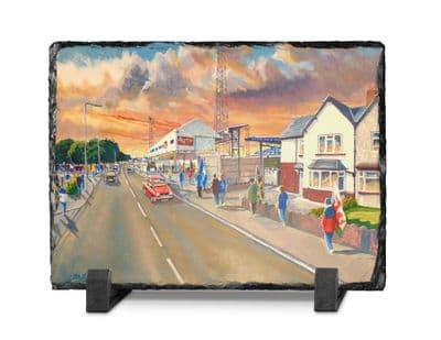 ninian park going to the match slate