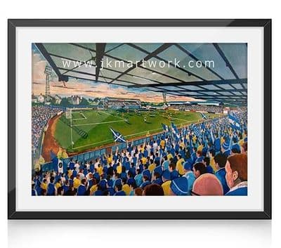 palmerston park on matchday (1)