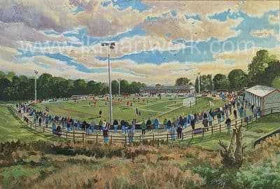 pilot field  on matchday print