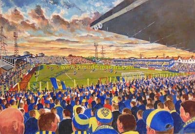 plough lane on matchday