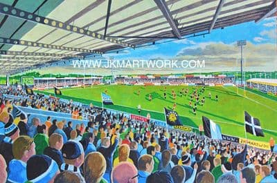 sandy park  a3 size print