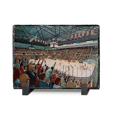 sheffield arena  slate