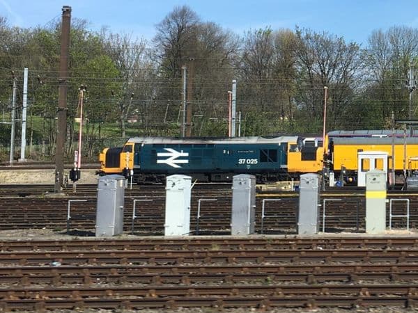Class 37 (N Gauge)