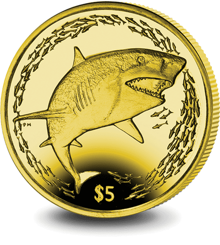 2016 B.V.I Titanium Lemon Shark