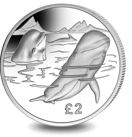 2017 Pilot Whale from the Pobjoy Mint Series