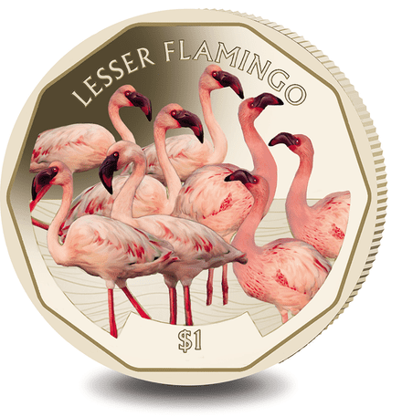 2019 BVI $1 Lesser Flamingo