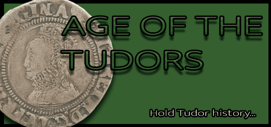 Tudor  Coins