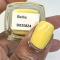 Bellis