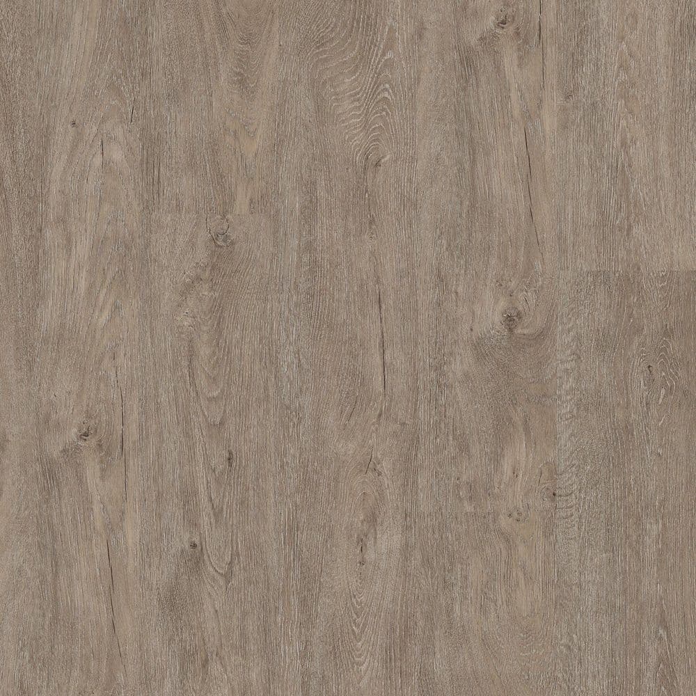 Great Northern Oak 05