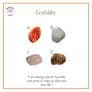 Fertility Crystals Gift Pack